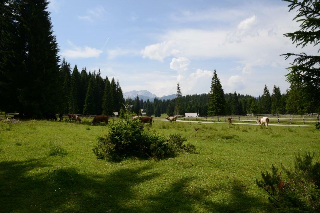 Pocitniska Hisa Jurcek Pokljuka Villa Goreljek Exterior photo